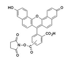 3962 | 150347-58-3 | 5(6)-Carboxynaphthofluorescein , succinimidyl ester